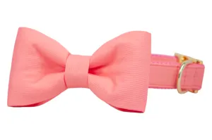 Coral Bow Tie Dog Collar