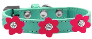 Flower Premium Collar Aqua With Bright Pink Flowers Size 10