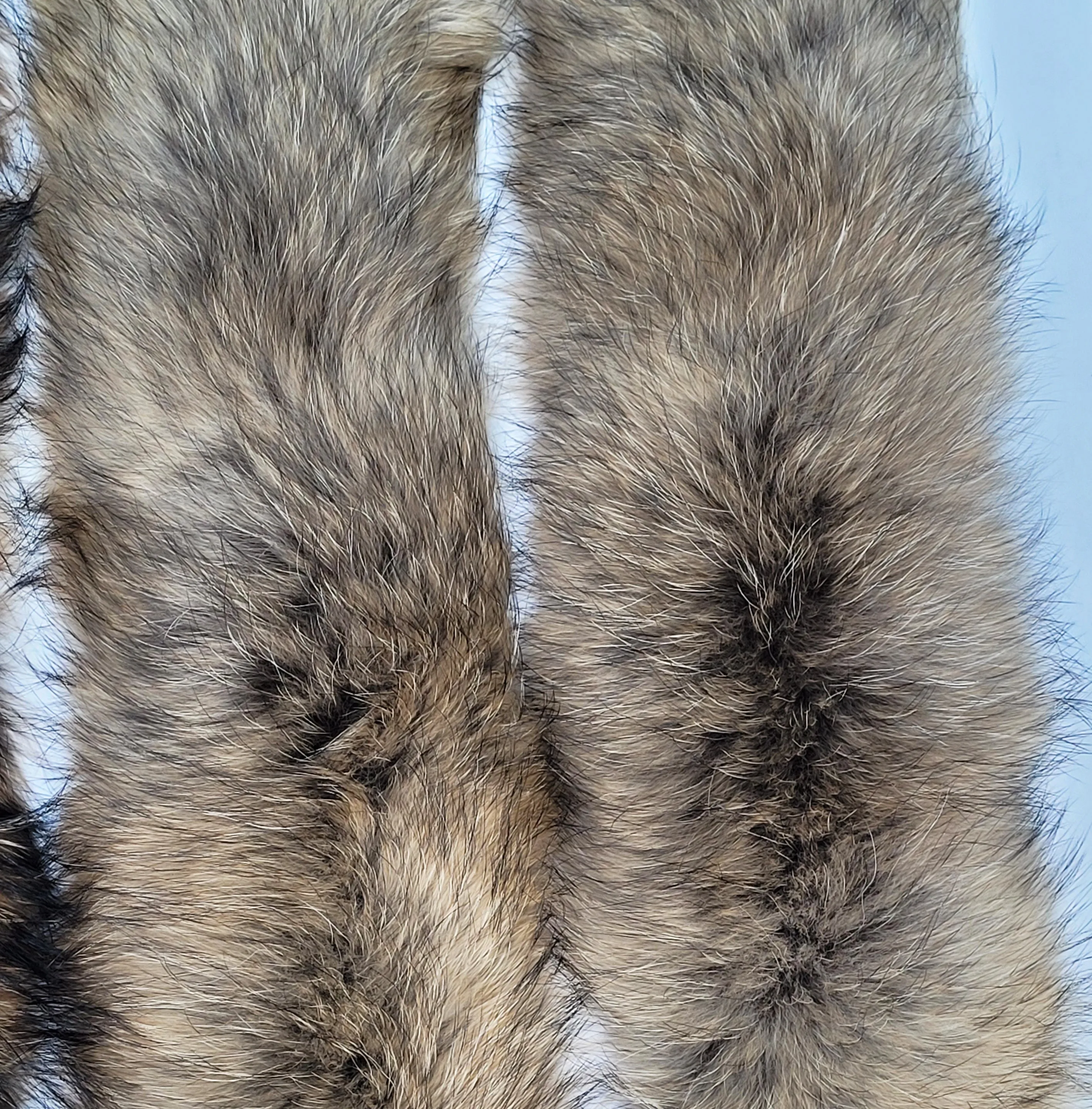 READY to SHIP XL Large Full Finnish Real Raccoon Fur Collar, Fur Trim for Hoodie, Raccoon Fur Collar, Fur Scarf, Fur Ruff, Raccoon Fur Hood